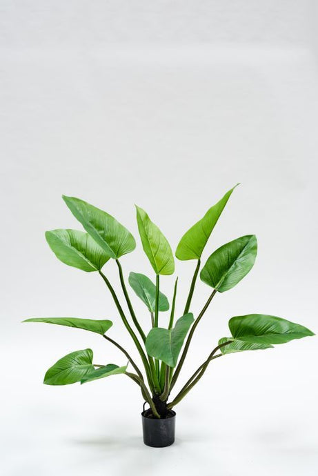 Annefleurs zijden bloemen, Alocasia 122 cm zijden plant